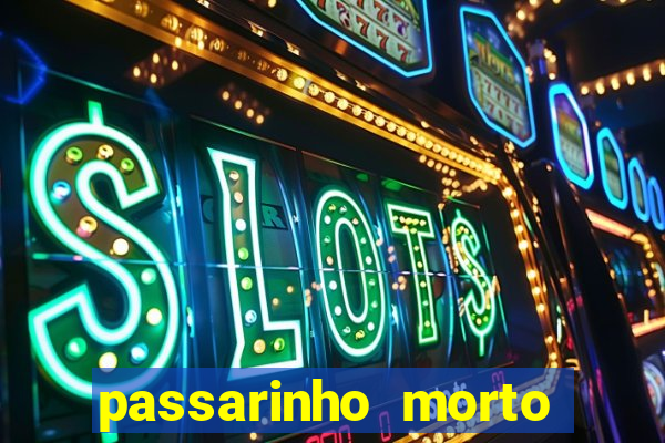 passarinho morto significado espiritual